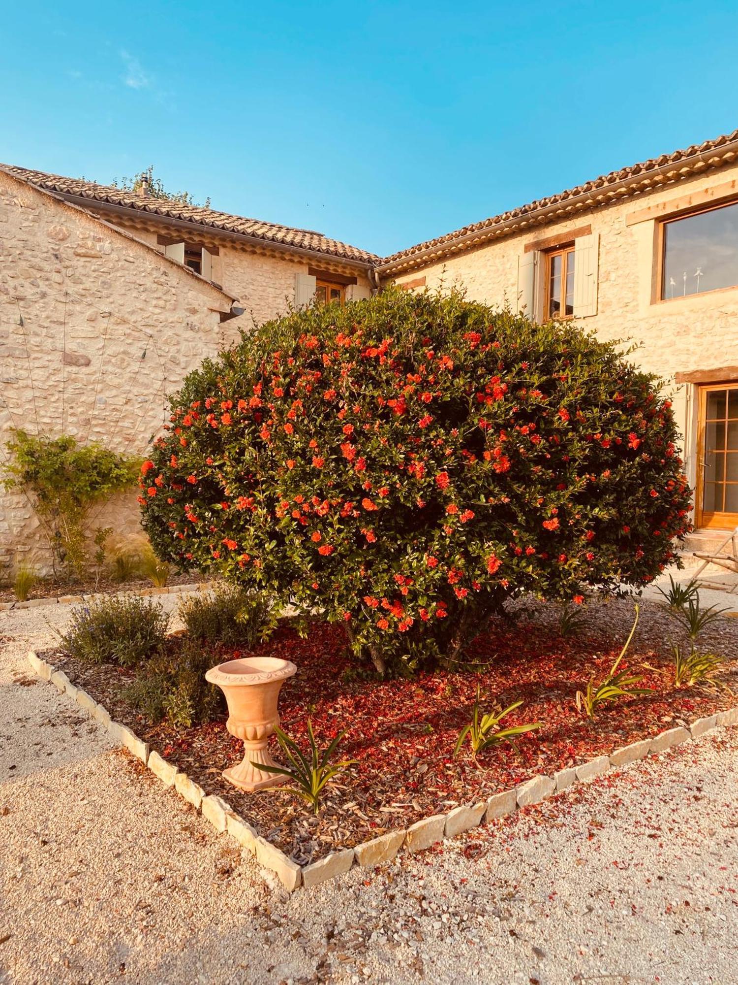 La Bastide Des Oliviers Provence - Mirabel Aux Baronnies Villa Kültér fotó