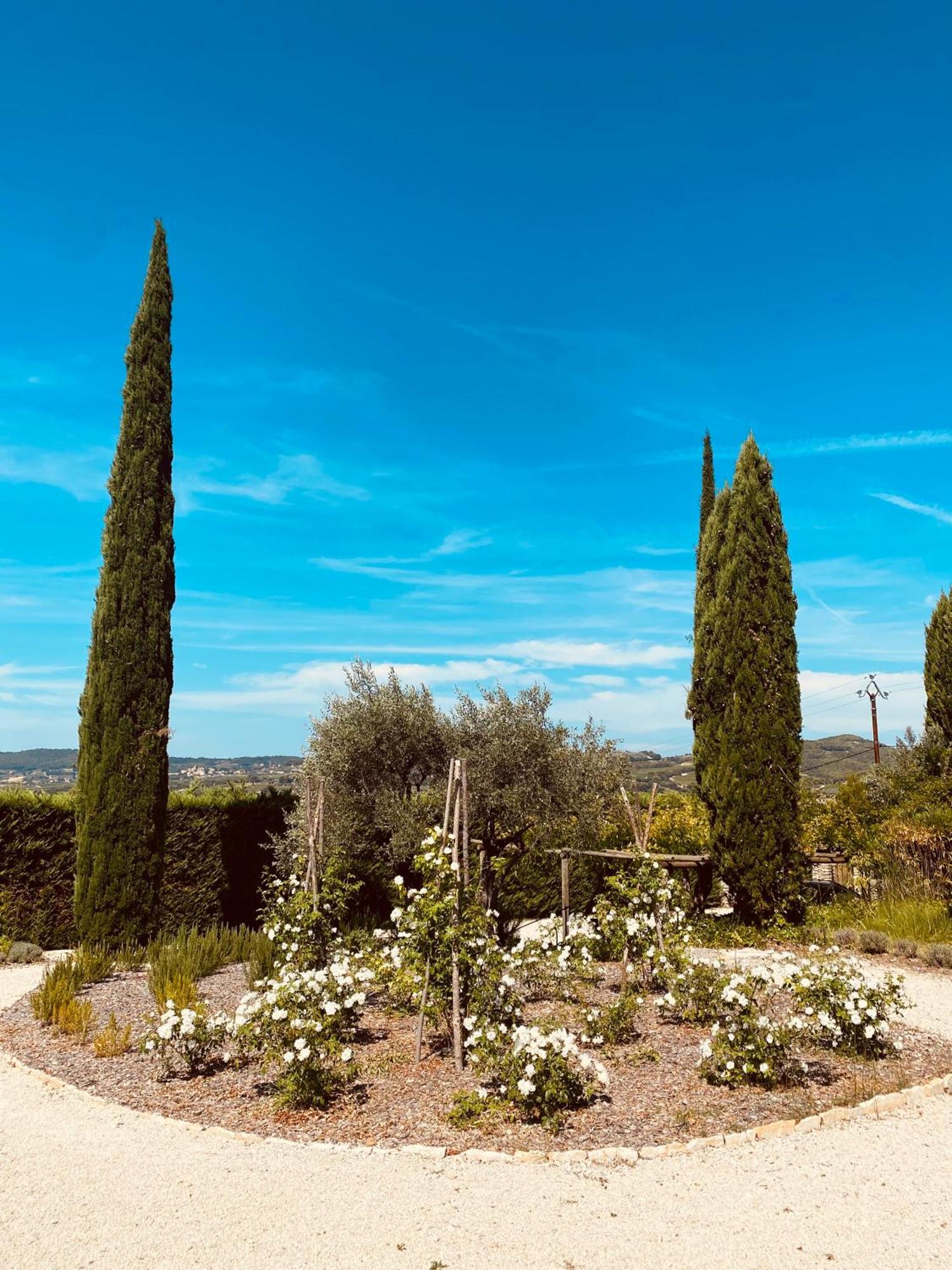 La Bastide Des Oliviers Provence - Mirabel Aux Baronnies Villa Kültér fotó
